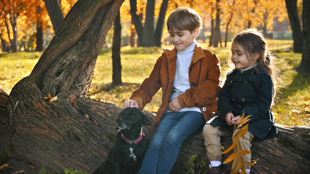 Happy family in an autumn park. Brother and sister sitting on a tree trunk and petting their dog, yellowed trees around. Slow motion