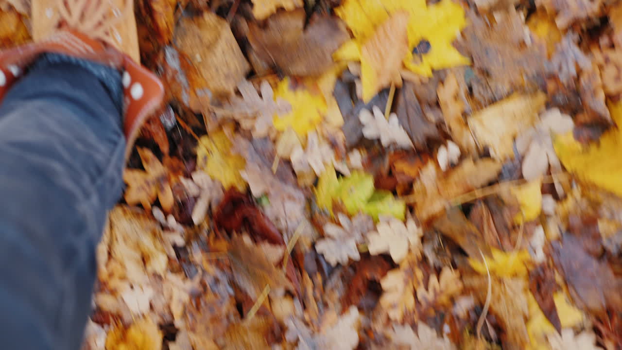 부츠를 신은 여성 다리는 낙엽 위를 걷는다