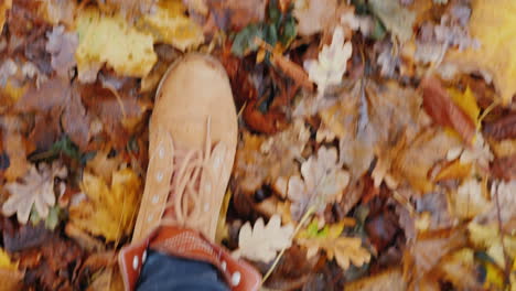 female legs in boots walk on fallen autumn leaves