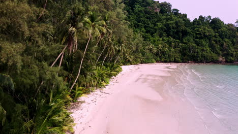 tropical koh kood beach paradise with palm trees and white sand