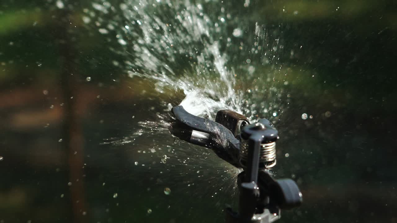 Close-up of a sprinkler watering a lawn