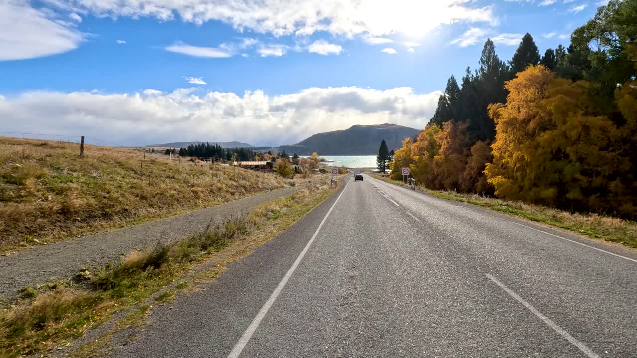 Un camper viaggia lungo una strada rurale panoramica fiancheggiata da alberi autunnali sotto la luce solare intensa e cieli blu a Lake Tekapo, Nuova Zelanda. Telecamera statica rivolta in avanti.