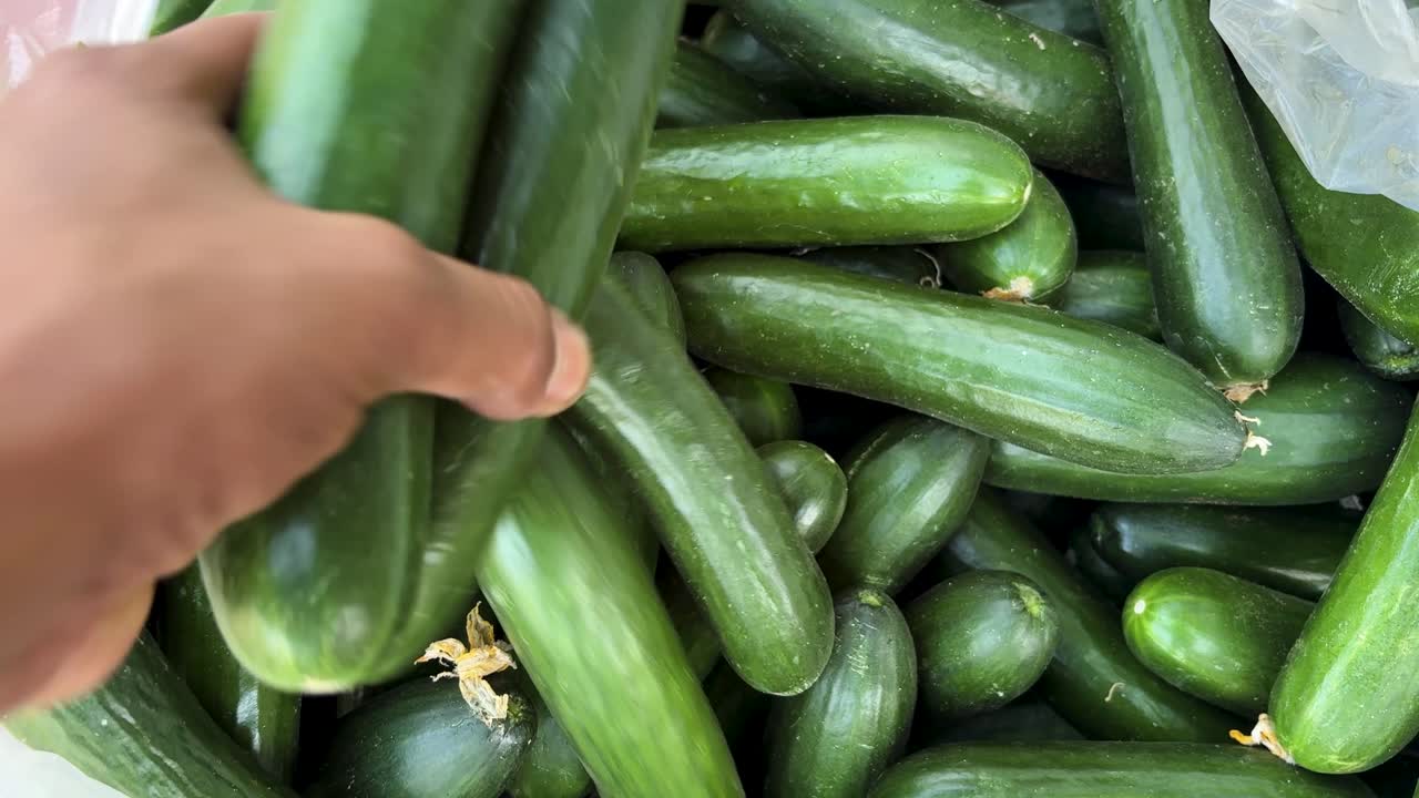 choosing ripe green cucumbers by hand at traditional street market