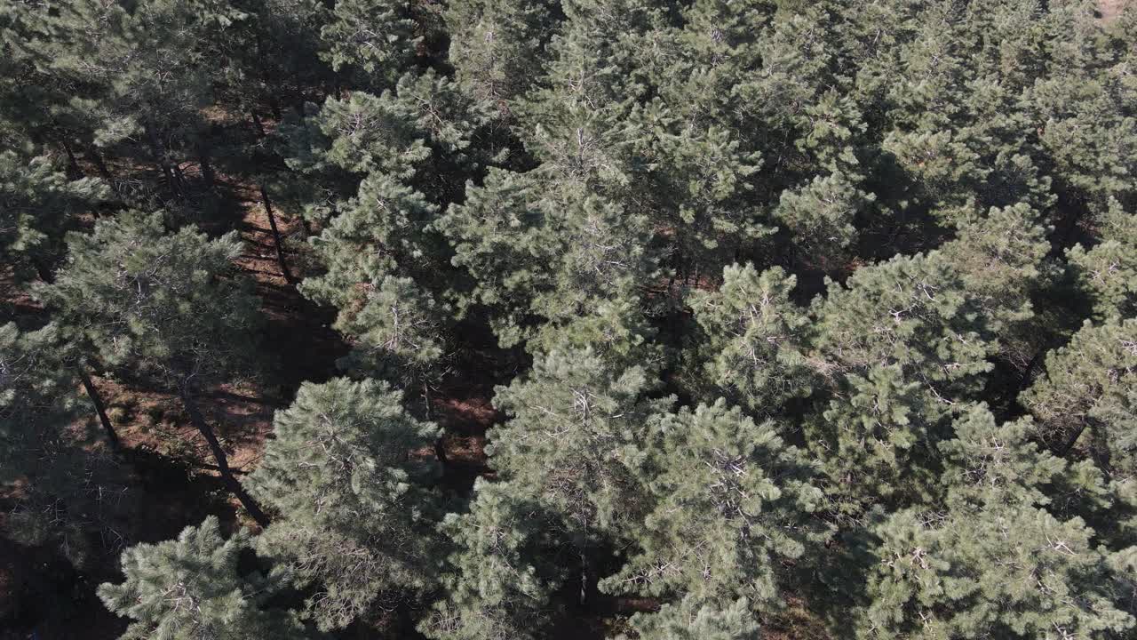 Aerial Environment Natural 1