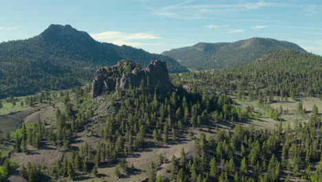 aerial drone scenic landscape flying through pine tree forest in colorado rocky mountains