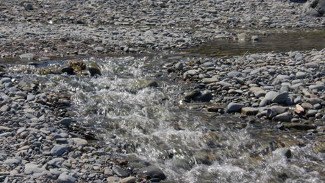 mid shot of the river tydu flowing over pebbles and rocks on at cwmtydu beach