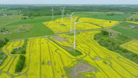 aerial establishing view of wind turbines generating renewable energy in the wind farm, blooming yellow rapeseed fields, countryside landscape, sunny spring day, wide drone shot moving backward