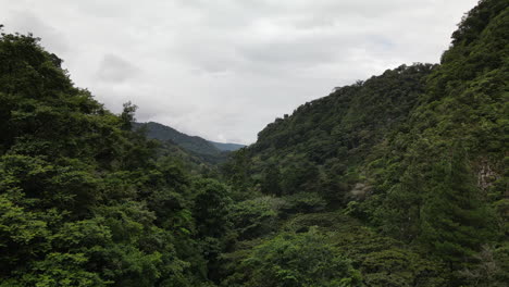 aerial view of the neverending jungle in the mountains of boquete, panama