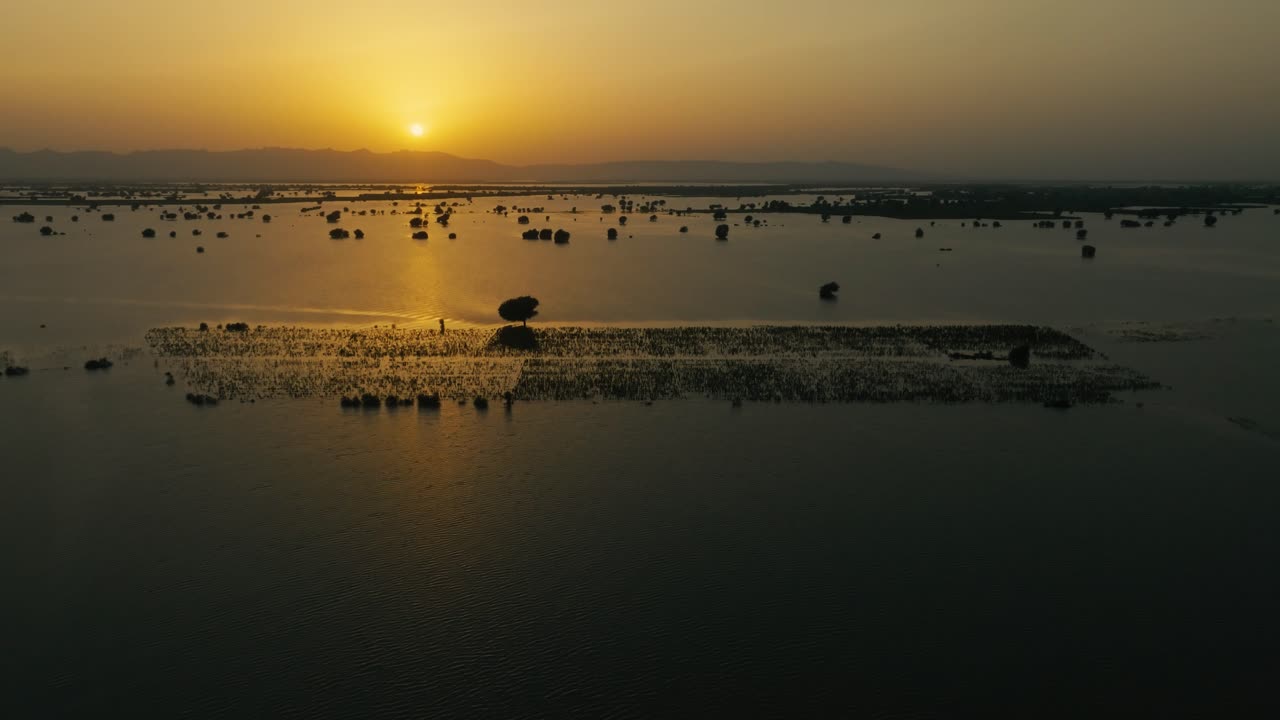 Aerial captures the vast flooded landscape of River Sutlej in Bahawalpur, Punjab, at sunset, with submerged fields, sparse trees, and calm water reflecting the golden sky
