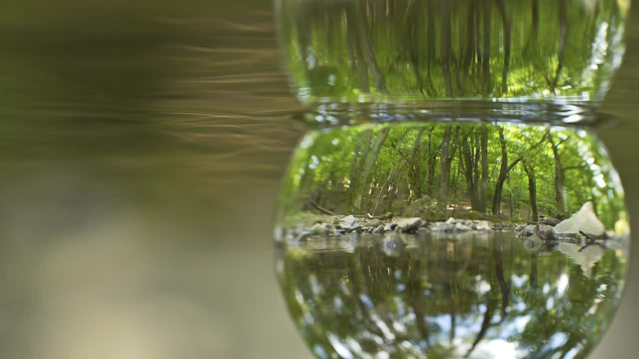자연의 미래입니다.