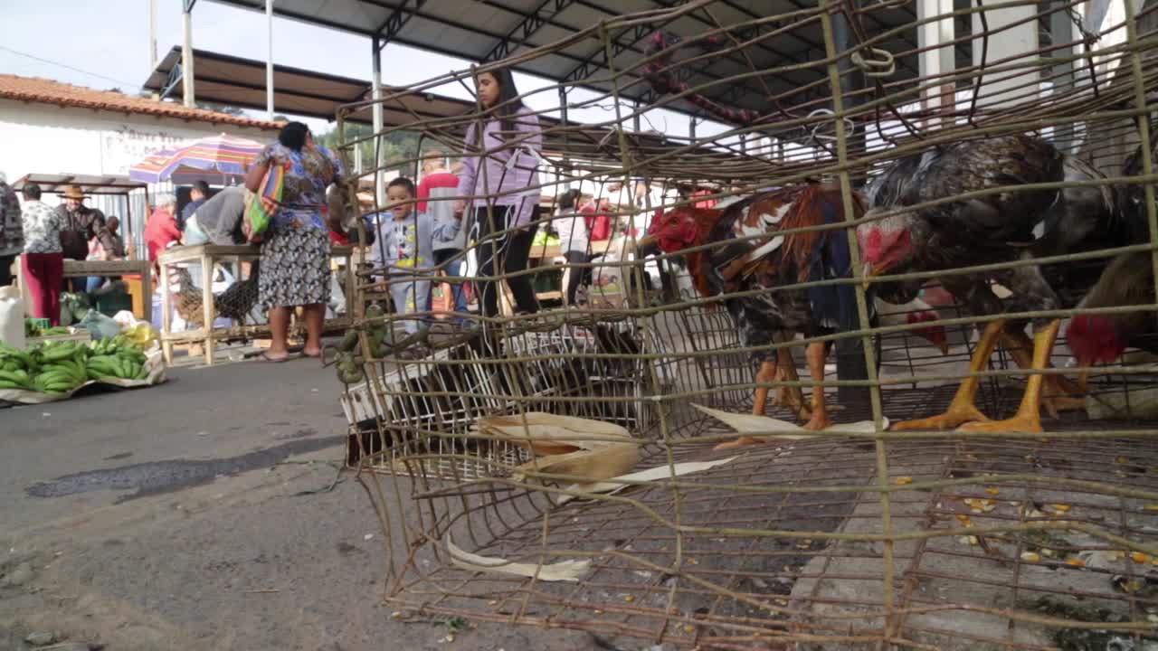 Chicken sold at a street market in Minas Gerais, Brazil