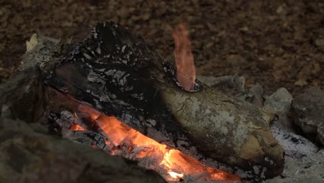 Lagerfeuer-Im-Freien-Während-Des-Italienischen-Sommerfestes-Von-Ferragosto