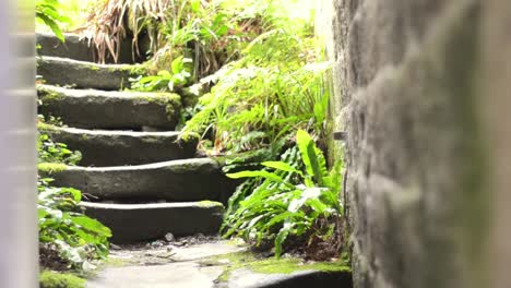 upwards pan of stone steps after the rain