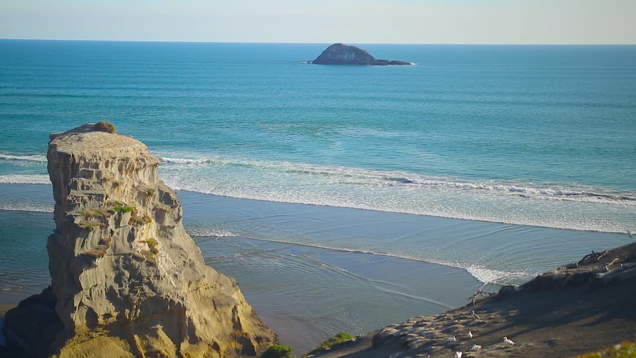 муриваи, окленд, туристическое направление на вершине холма с видом на местные растения новой зеландии