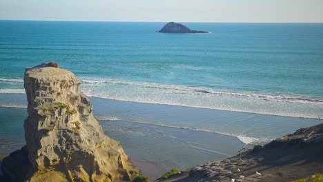 Muriwai,-Destino-De-Viaje-De-Auckland-En-La-Vista-De-La-Cima-De-La-Colina-Con-Plantas-Nativas-De-Nueva-Zelanda