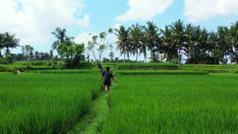 Hermosa-Joven-Equilibrándose-Y-Explorando-Su-Camino-A-Través-De-Un-Remoto-Campo-De-Arroz-En-Indonesia