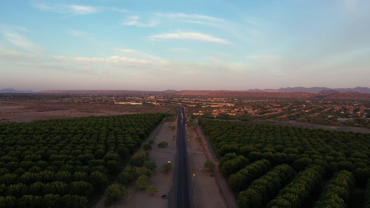 Vuelo aéreo hacia adelante sobre un huerto de pacanas al anochecer