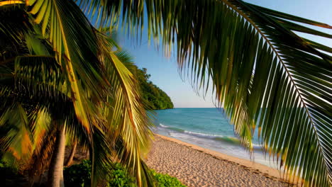 escena de playa tropical con palmeras