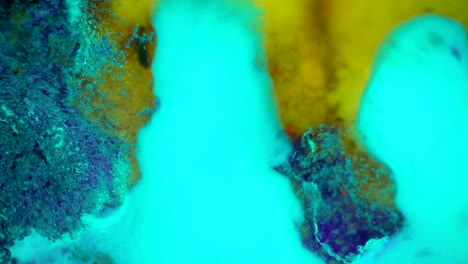 curlicue of paints