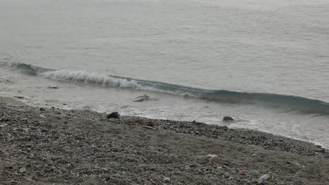el mar lluvioso, la playa de piedra, la línea de la costa, las olas.