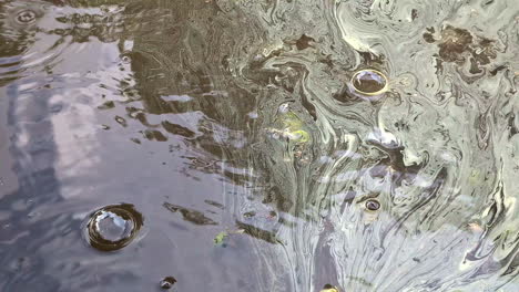 manchas y burbujas de petróleo flotan en la superficie del agua contaminada