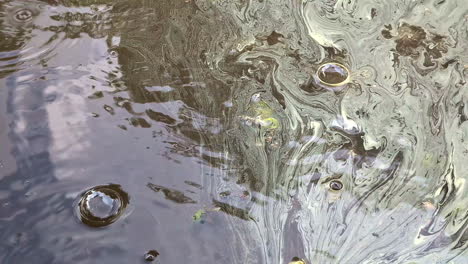 oil slicks and bubbles float on the surface of polluted water