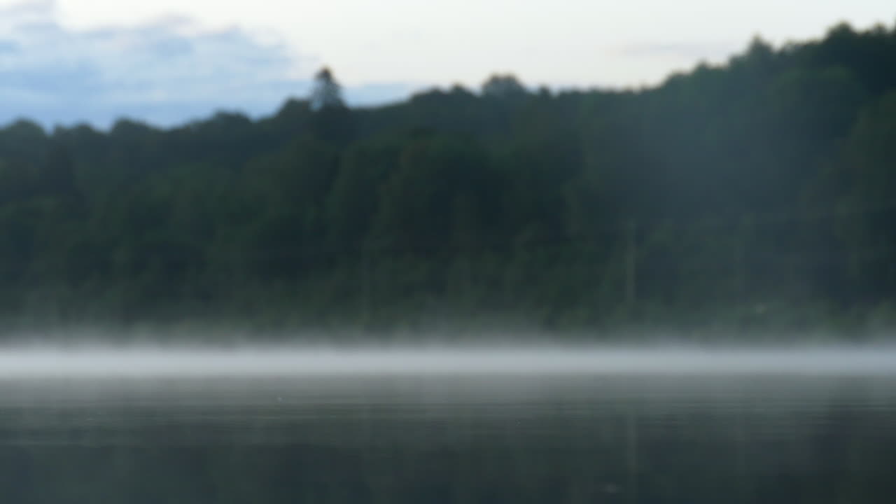 아침에 울창한 숲 옆 호수