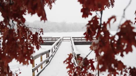 雪覆盖的桥梁在冰<unk>的湖泊上在雪天冬天射击通过一些树木