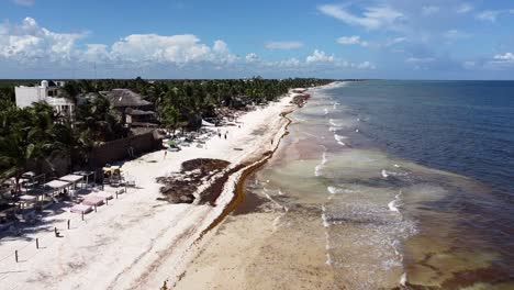 Luftküste-Des-Weißen-Sandstrandes-In-Tulum,-Mexiko,-Bedeckt-Mit-Sargassum-An-Einem-Sonnigen-Tag