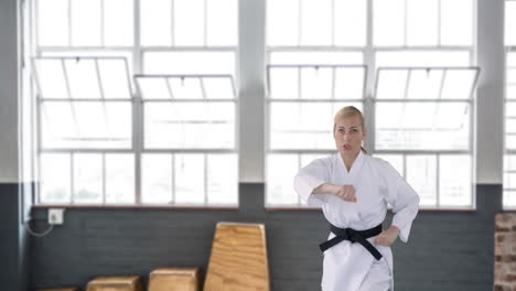 female karate black belt 4k