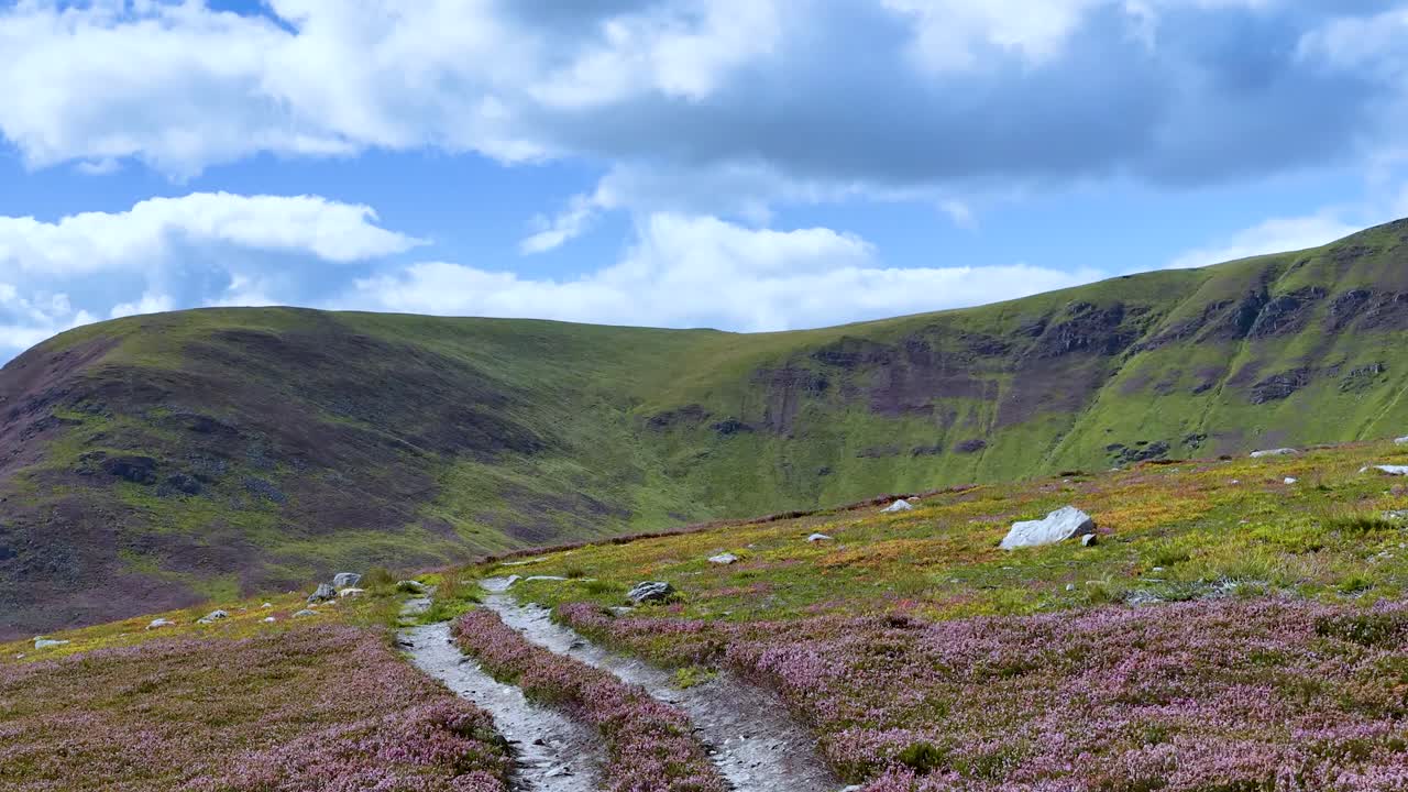 Camera glides along heather-lined mountain trail under bright daylight, revealing expansive green highlands