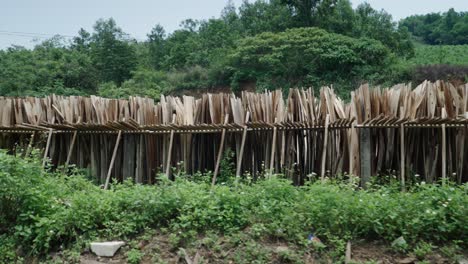 wooden planks drying in a rural area