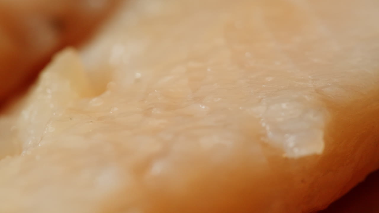 Close-up view of fish fillet