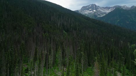 rising drone above rocky mountain forest