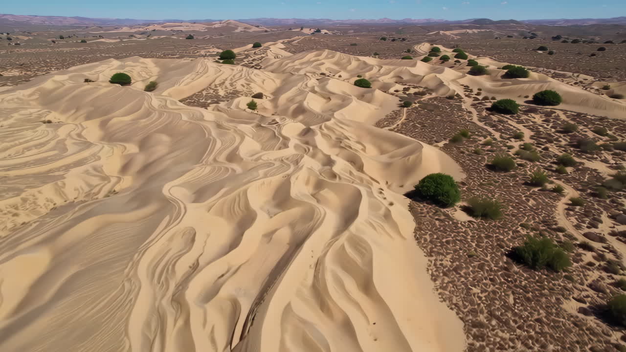 Aerial View of Expansive Sand Dunes with Scattered Green Vegetation Under a Clear Sky