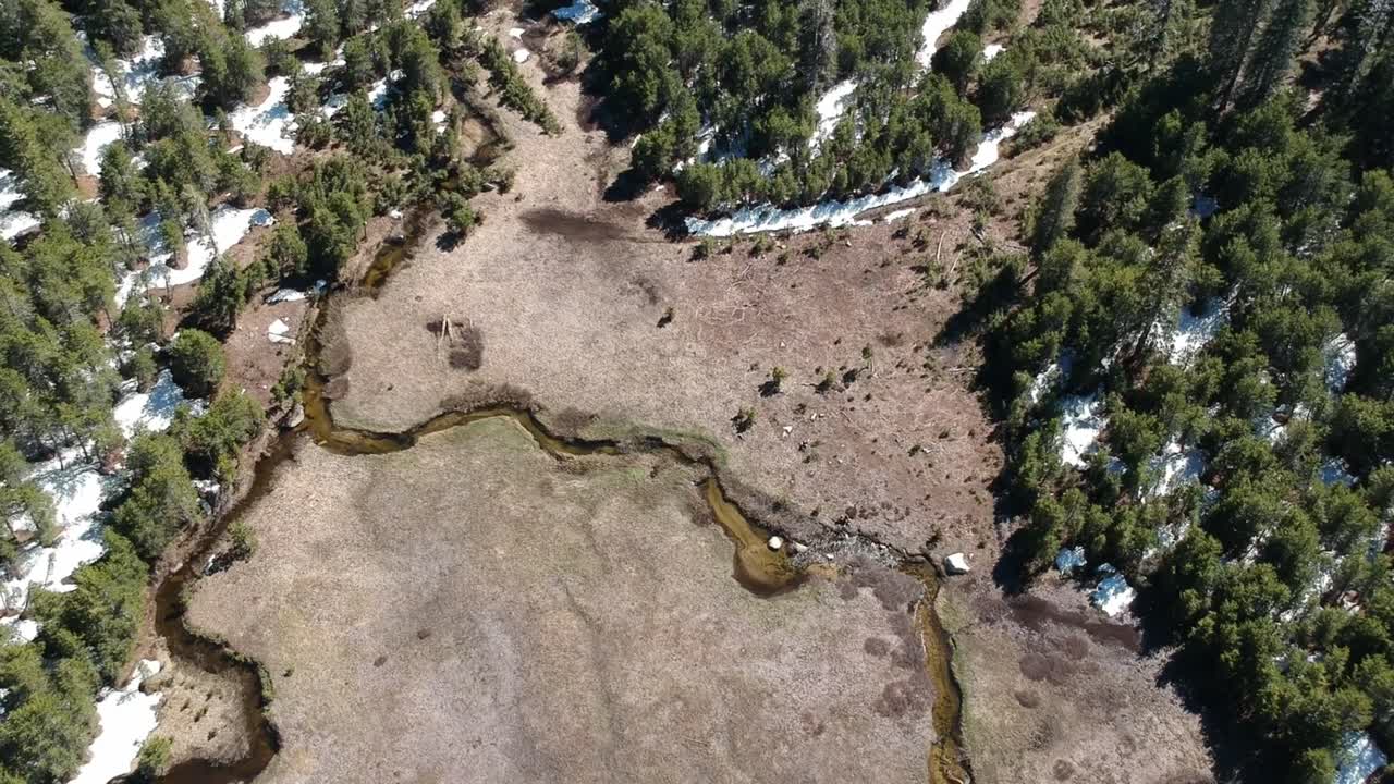 drone vuela sobre pradera alpina con bosque espeso y arroyo serpenteante