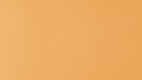 orange slice