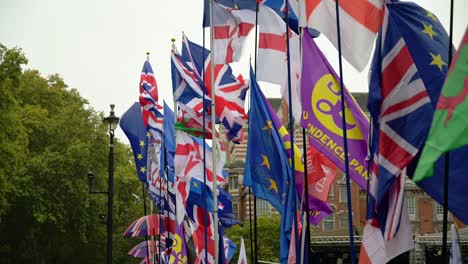 brexit demonstration with flags waving in the breeze outside the houses of parliament