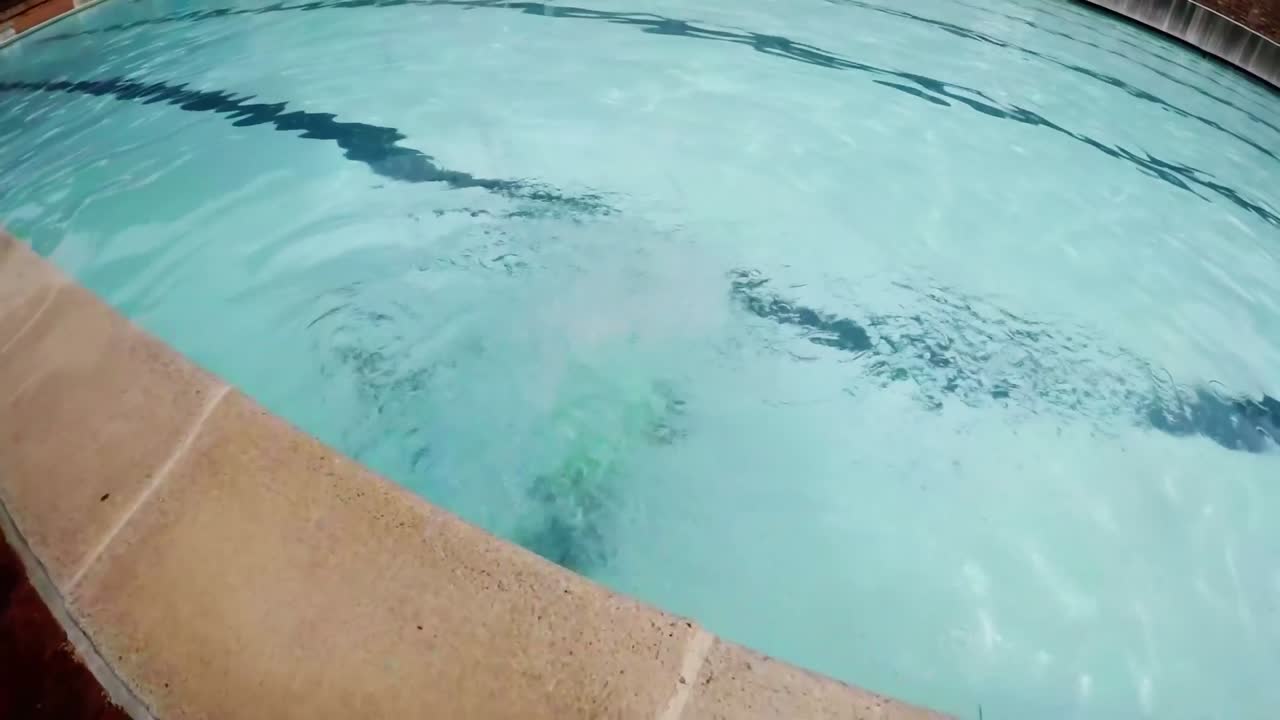 Dreng springer i en swimmingpool