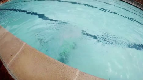 boy jumping into a swimming pool