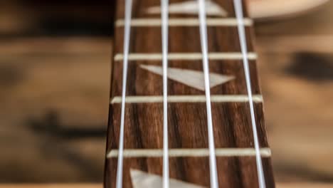 ukulele neck fingerboard close-up.