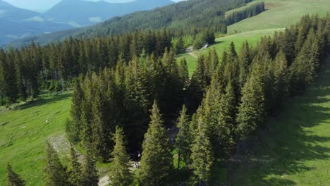 Toma-De-Un-Dron-De-Una-Ubicación-Forestal-En-Las-Montañas