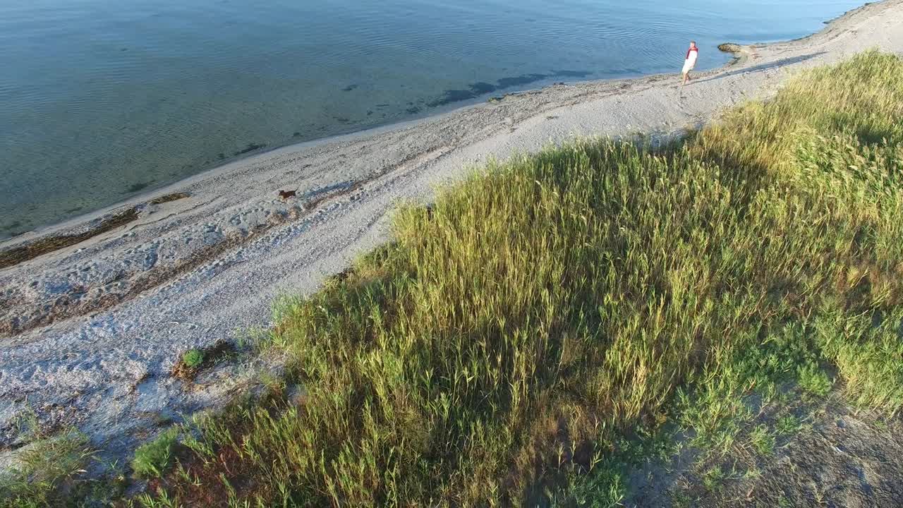 человек ходит по волнам вдоль песчаного пляжа с собакой