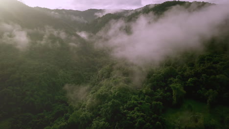 vista aérea volando sobre la exuberante montaña verde de la selva tropical con nubes de lluvia durante la temporada de lluvias en el parque nacional reservado de la montaña doi phuka en el norte de tailandia