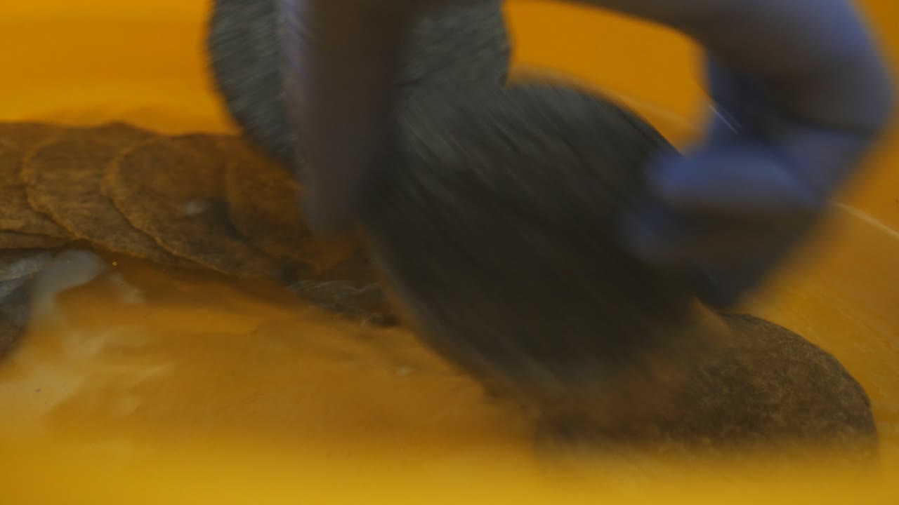 limpieza y manipulación de artefactos