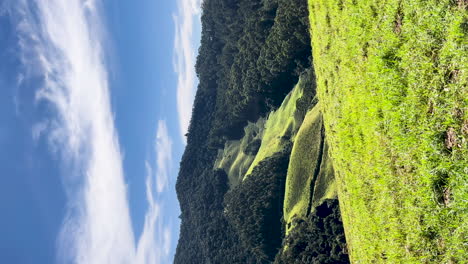 las bellezas naturales de marmelopolis, las montañas de minas gerais, el paisaje, la vida natural
