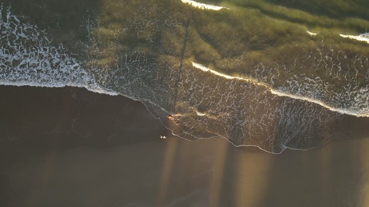 Overhead Shot Of Person Running With Dog On Sandy Beach At Sunset, Uruguay