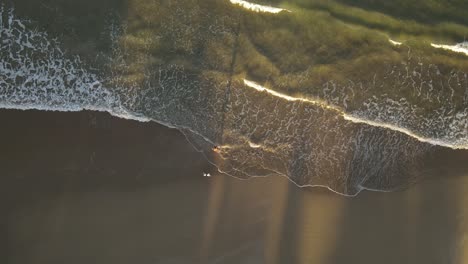 overhead shot of person running with dog on sandy beach at sunset, uruguay