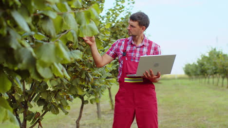 Gardener-agronomist-man-farmer-analyze-quality-of-hazelnuts-trees-making-notes-in-laptop-journal