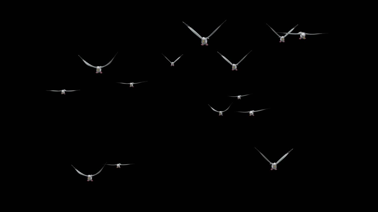 A lonely doves flies in the blue sky the white dove into the sky a symbol of freedom backgrounds